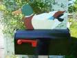 Novelty Animal Mailboxes
