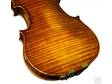 VIOLIN - Damek Nekovar #362 - Carved Boxwood Fittings!!