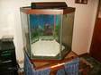 Aquarium For Sale