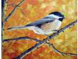 Black-Capped Chickadee
