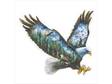 Soaring Eagle Scenic Plaque - Collectibles Gifts Wall Decor Animal Art Bird