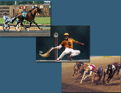 Wagering Inside Tips