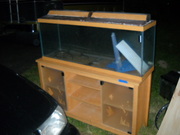 Garage Sale,  Couchs,  TVs,  Seahawks Stuff,  Fish Tank,  Tools,  Sporting