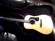 Acoustic Guitar - WASHBURN