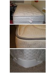 [Second hand] Sealy Backsaver 