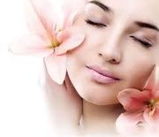 Hobbies I'm Giving Away Free Bids