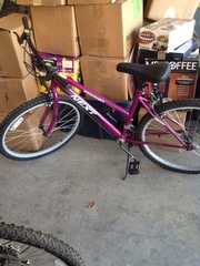Females NEXT Bike.... 