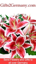 Send Gifts to Germany