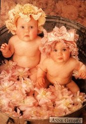 Ganesh Travels and Transport Company