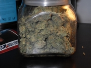 kushonline delivery service