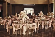 Chiavari Ballroom Chairs at Wholesale Prices - Chiavari Chairs Direct