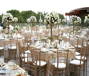 Exquisite Chiavari Chairs Direct