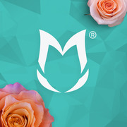 Wholesale Flowers from 39 Farm Direct