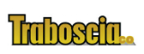 Traboscia Co Inc