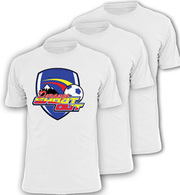 Best Online Sports Awards Supply Store usa