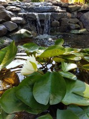 Residential Landscaping York PA