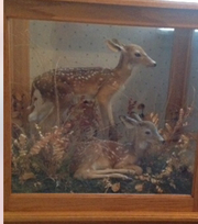 One of a kind nature scene side table