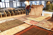 Luxury Living with High-End Carpets for Homes | Saraswati Global 