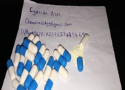 Cyanide, nembutal for suicide and lab use whatsapp/viber:+237692751563