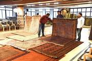 Rug Store Near Me | Luxury Handcrafted Carpet Collection | Saraswati G