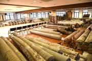 Best Rugs for the Living Room for Every Home | Saraswati Global