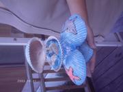 shells in shells with ocean scene