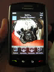 F/S:BlackBerryStorm$300usd, BlackBerryBold$250usd, HtcPro2 300usd.